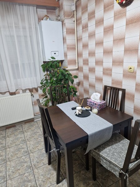 Colentina Rau, Maior Bacila in plan secund,