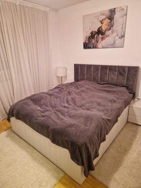 Colentina Rau, Maior Bacila in plan secund,