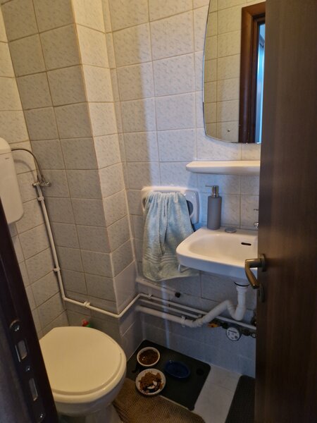 Colentina Rau, Maior Bacila in plan secund,